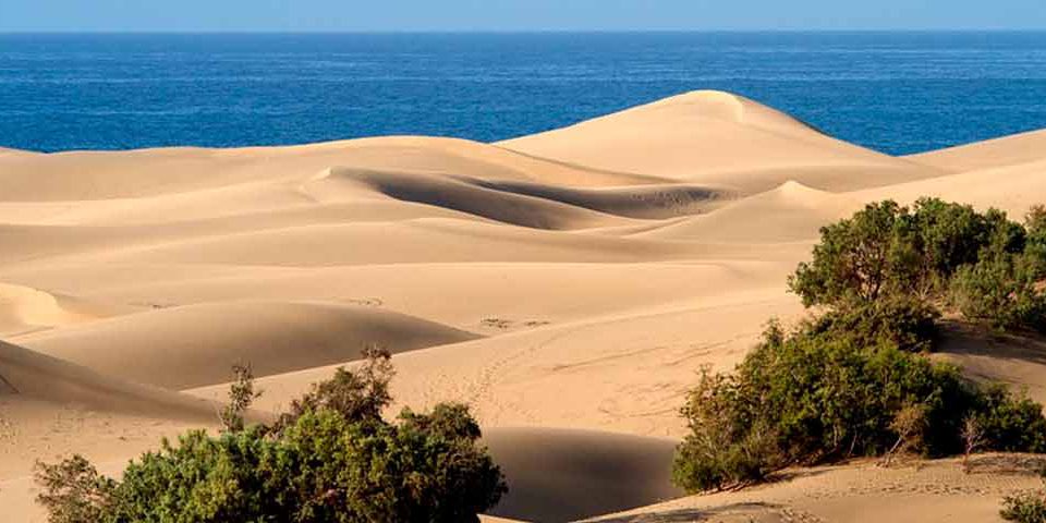 excursiones en Gran Canaria
