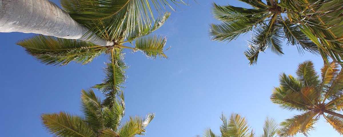 The time is hotter and more humid between June and November, but in return, you can find more competitive offers and prices. 