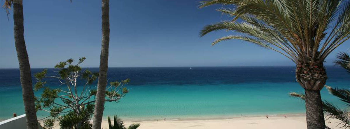 playa-del-matorral