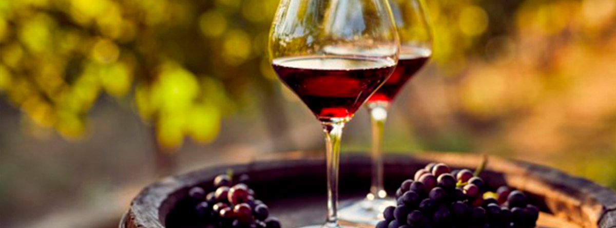 bodegas-de-gran-canaria