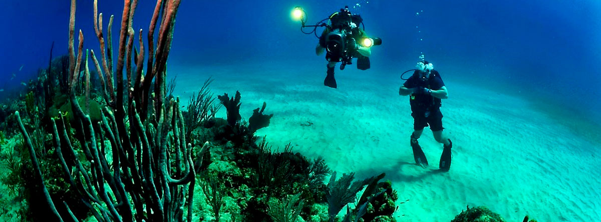 En-qué-consiste-el-buceo-en-Punta-Cana