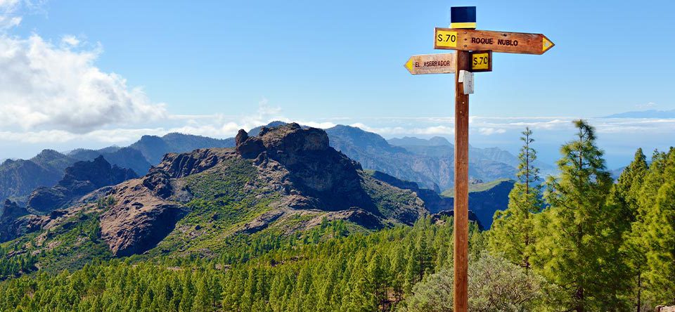 Las-mejores-actividades-y-excursiones-que-puedes-hacer-en-Gran-Canaria