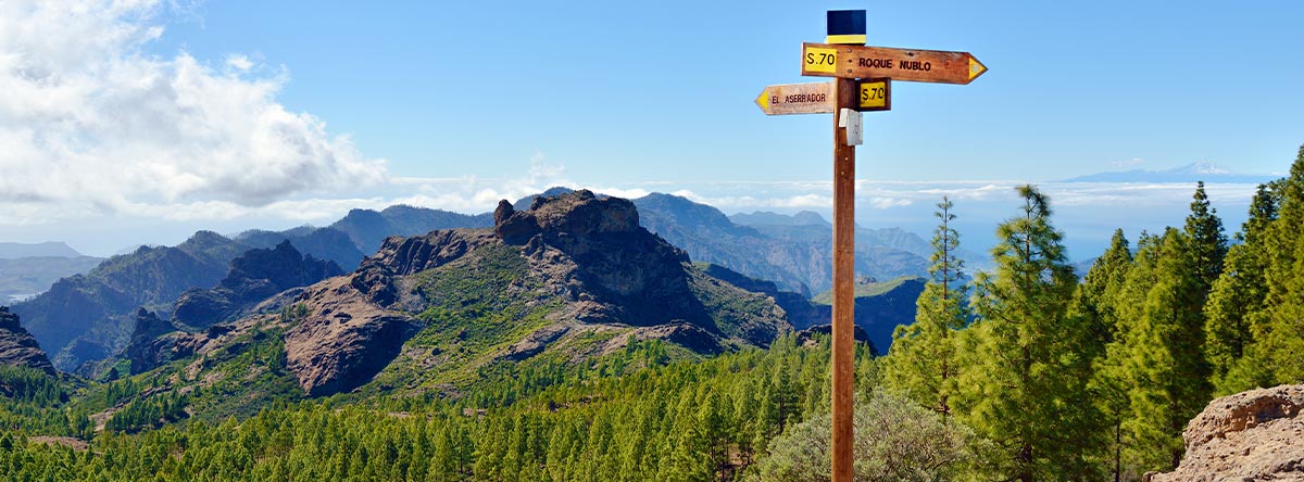 actividades gran canaria