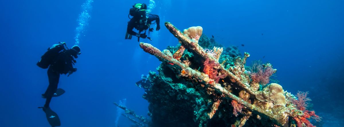 buceo en punta cana