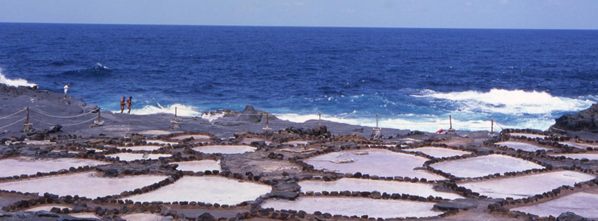 Las-salinas-de-Gran-Canaria-(2)