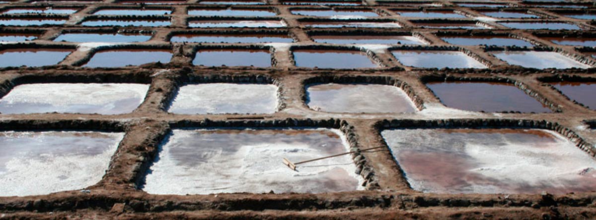 Las-salinas-de Gran-Canaria-(3)