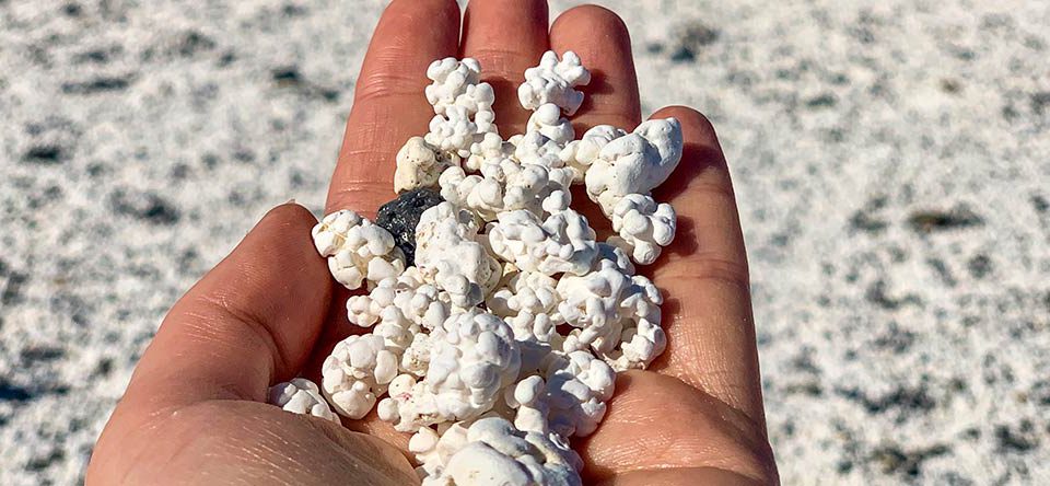 Popcorn-beach-fuerteventura-1