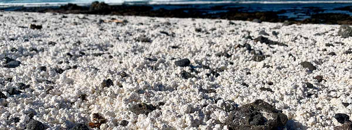 Popcorn-beach-fuerteventura