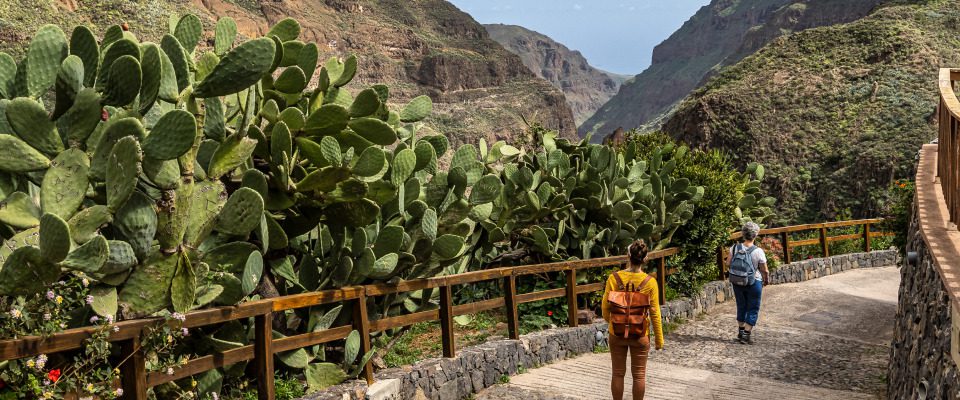 guayadeque ravine