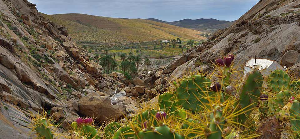 las-peñitas-fuerteventura