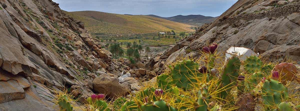 las-peñitas-fuerteventura