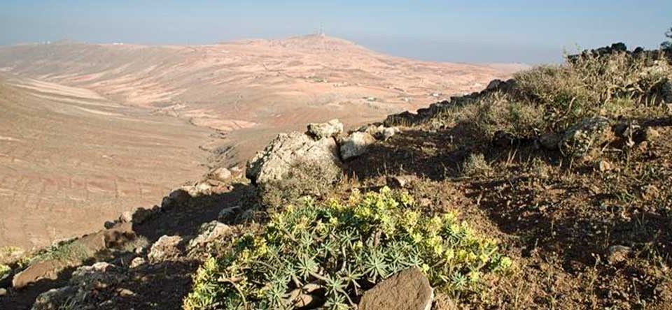 sendero-y-mirador-de-Vallebrón-en-Fuerteventura-ingles