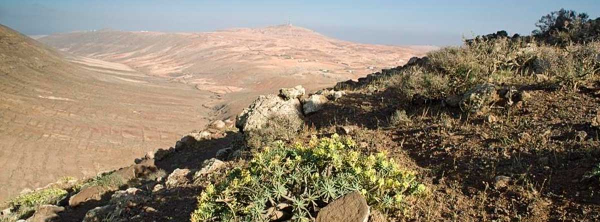 sendero-y-mirador-de-Vallebrón-en-Fuerteventura-aleman