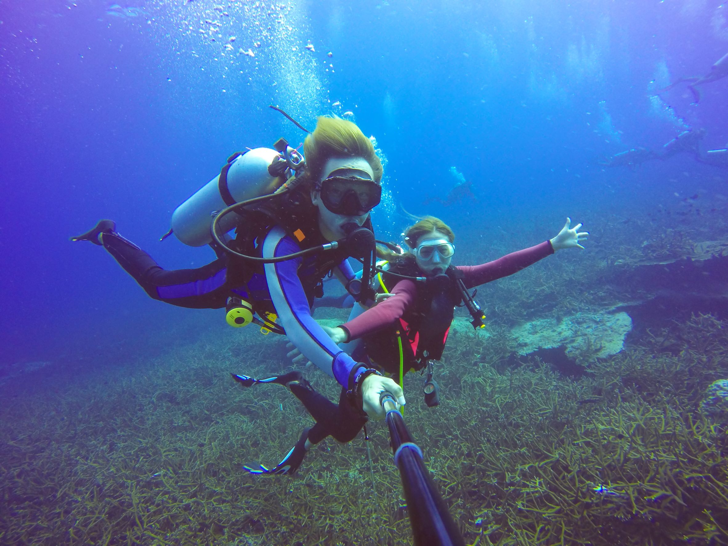 ocupado Loco mando ▷ 6 lugares para practicar buceo en Gran Canaria | Blog Lopesan