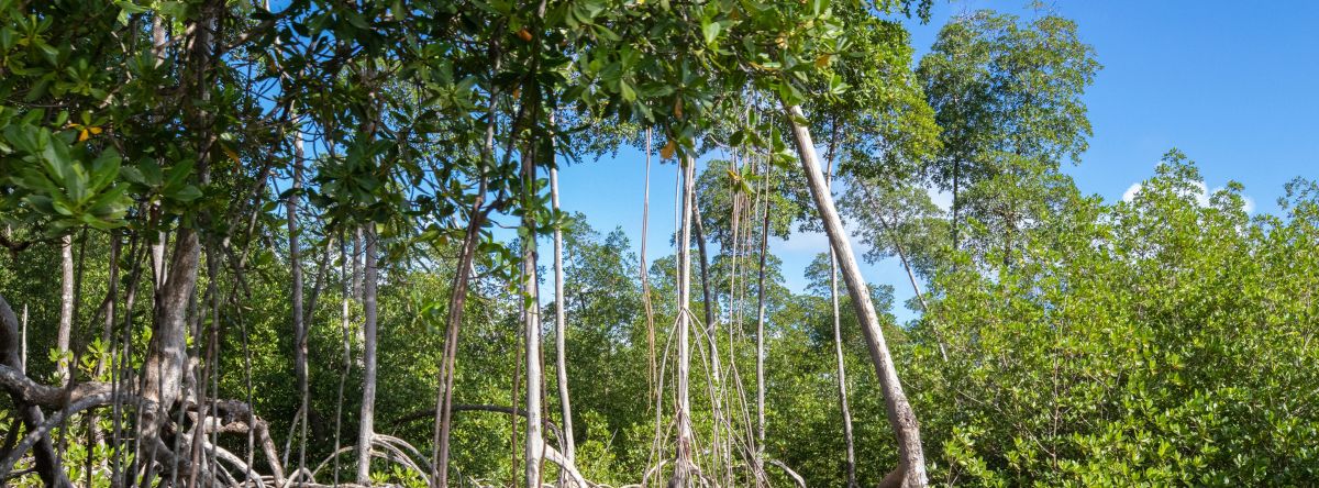 Parque Nacional Los Haitises