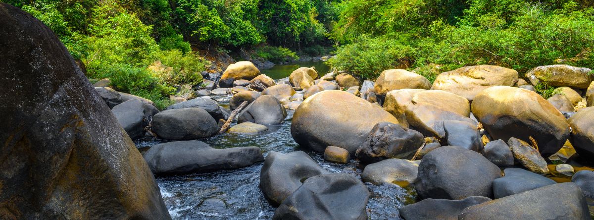 Parque Nacional de Khlong Phanom