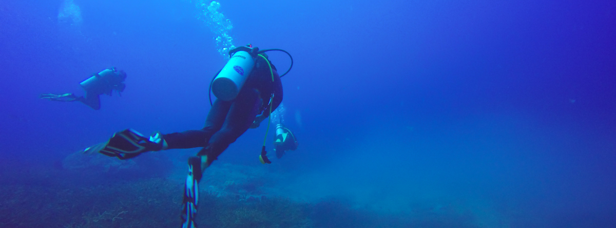 Excursión buceo y snorkel
