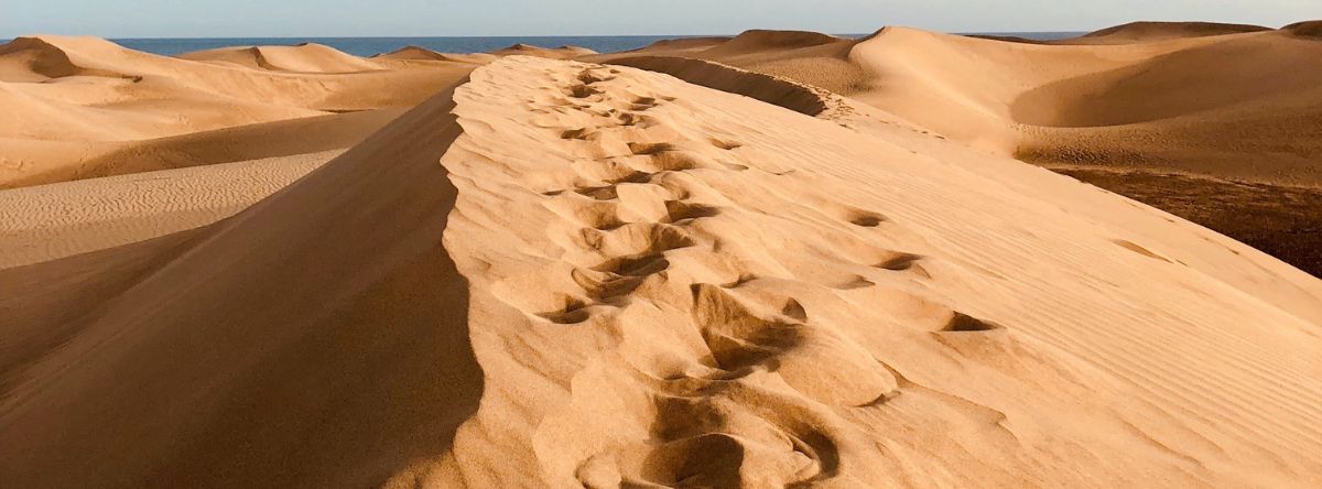 dunas maspalomas