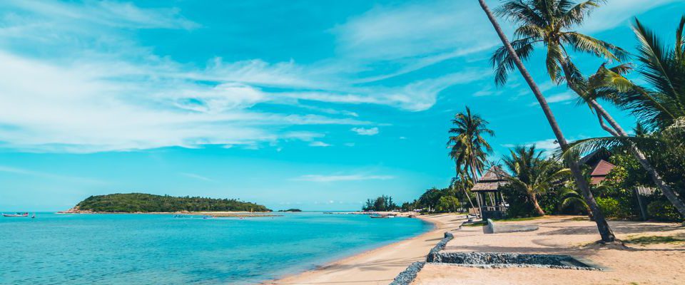 End-of-studies trip to Punta Cana