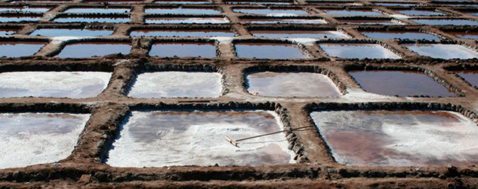 The salt pans Gran Canaria
