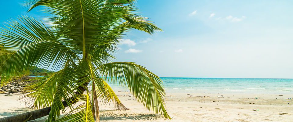 What to do in Samana