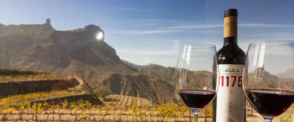 wines from the canary islands