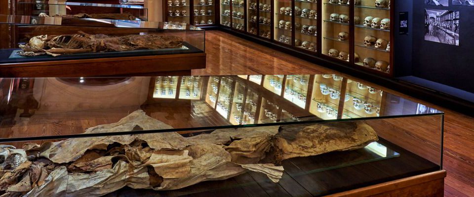 Canarian Museum Gran Canaria