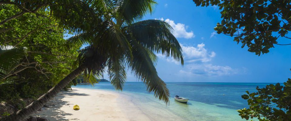 What to see in Santo Domingo