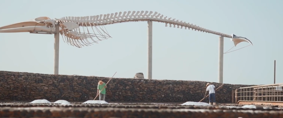 museen fuerteventura
