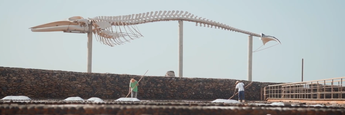 museen fuerteventura