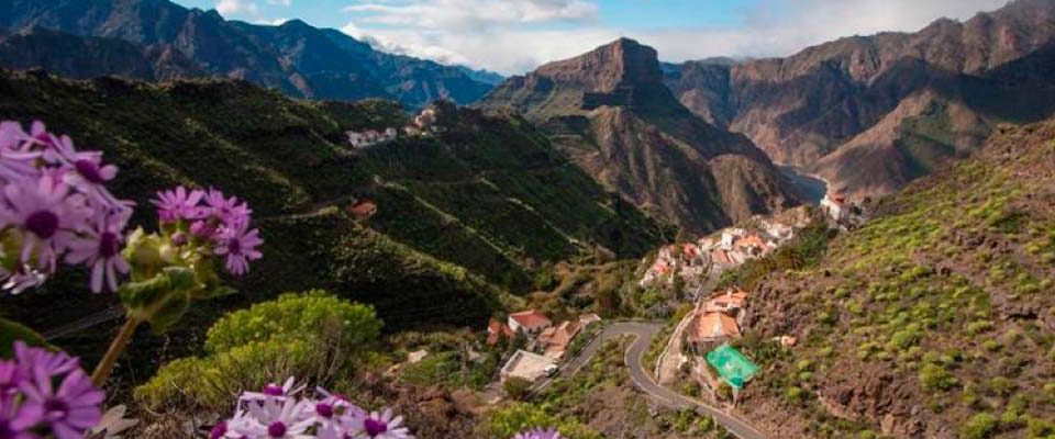 camino de santiago gran canaria