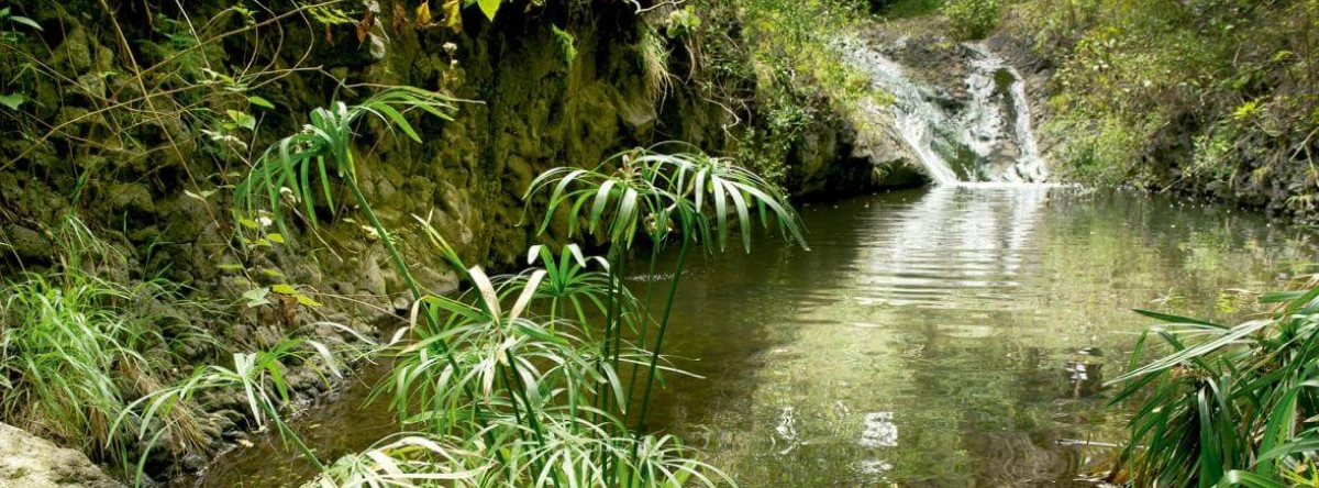 Canyoning auf Gran Canaria