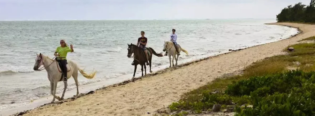 Punta Cana horseback riding