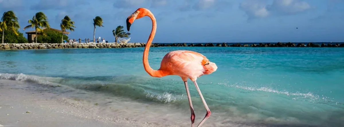 The 10 Best Places in the Caribbean
