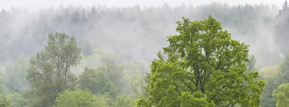 Weather in Auerbach Vogtland