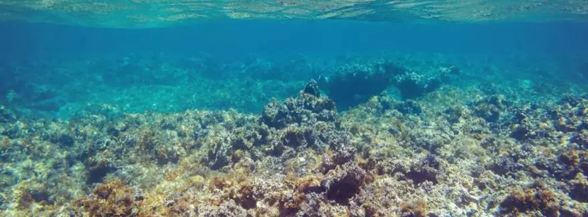Where to practice diving in Punta Cana