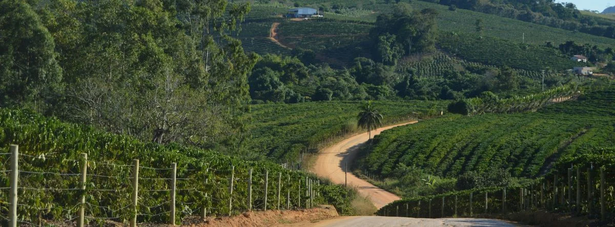 buggies en república dominicana