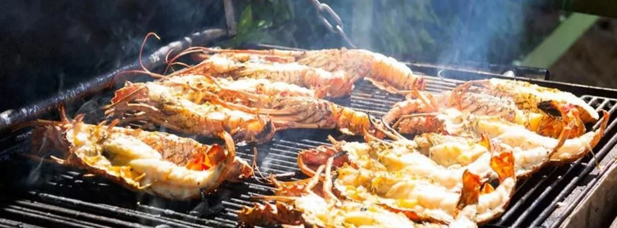 cómo llegar a Las Terrenas República Dominicana