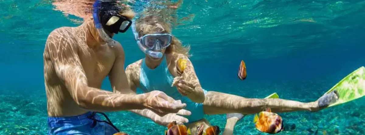 coral reef punta cana