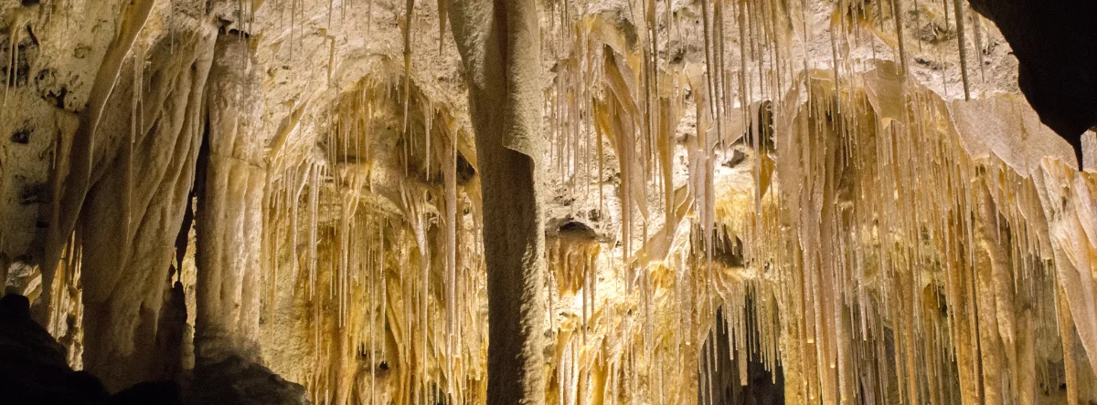 cuevas en el soco