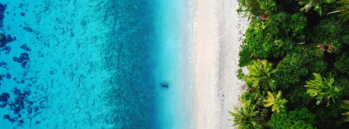 el soco punta cana