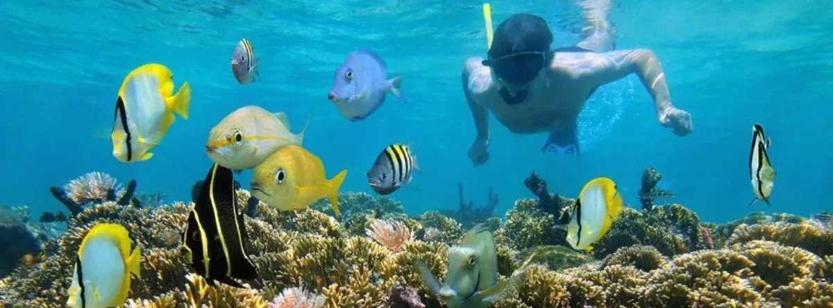 mejores playas del caribe