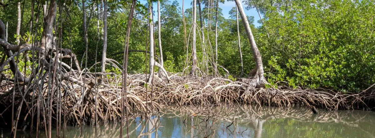 parque nacional los haitises
