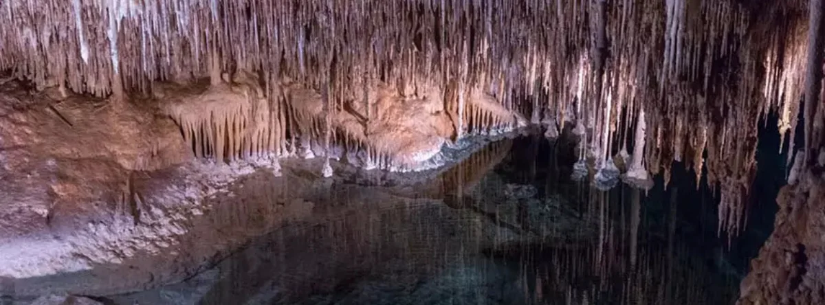 punta cana cueva