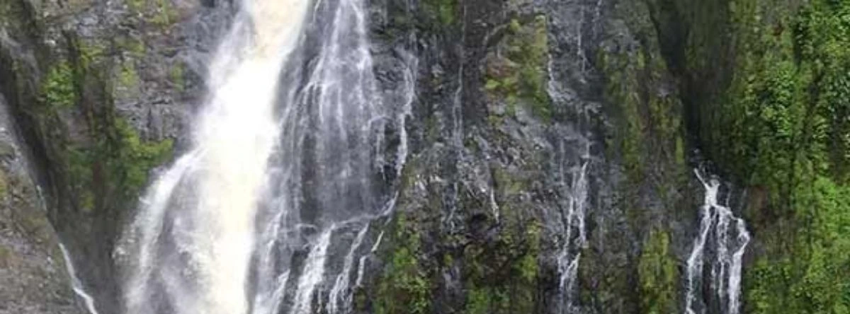 salto alto bayaguana precio