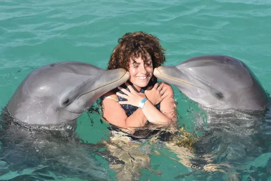 swim with dolphins in Punta Cana