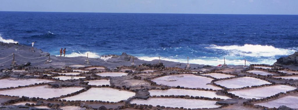 Canary Islands salt flats