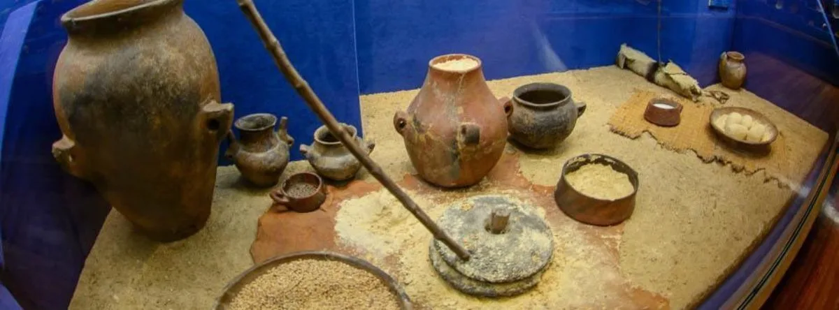 El Museo Canario
