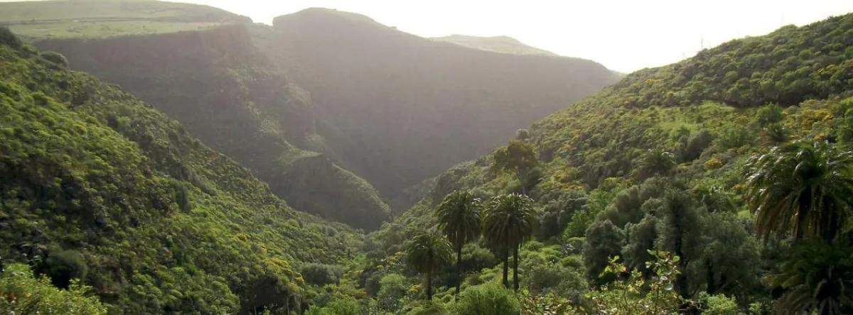 Guayadeque ravine hike