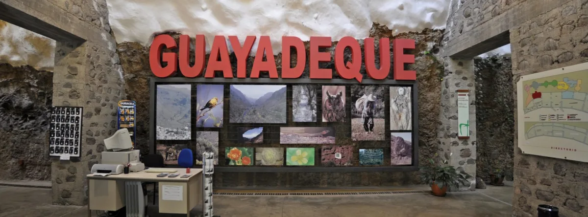 Guayadeque ravine route